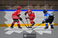 ref. photo 3544351