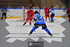 ref. photo 3544356