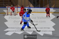 ref. photo 3544357