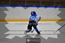 ref. photo 3544359