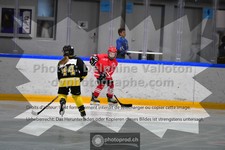 ref. photo 3544394
