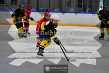 ref. photo 3544433