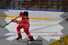 ref. photo 3544493