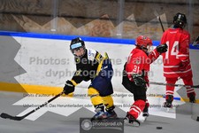 ref. photo 3544501