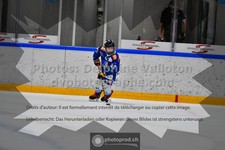 ref. photo 3544600