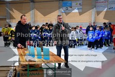 ref. photo 3544704