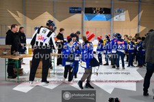 ref. photo 3544729