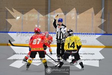 ref. photo 3544791