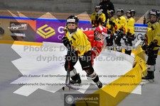 ref. photo 3544799