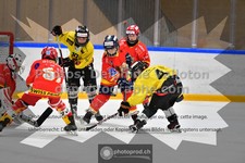 ref. photo 3544802