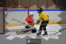 ref. photo 3544805