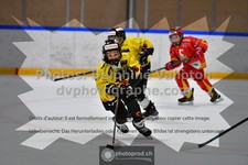 ref. photo 3544809