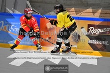 ref. photo 3544815