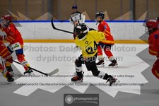 ref. photo 3544830