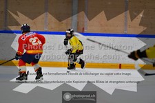 ref. photo 3544836