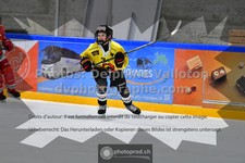 ref. photo 3544847
