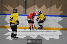 ref. photo 3544853