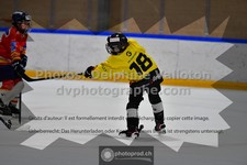 ref. photo 3544866