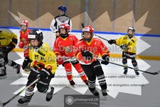 ref. photo 3544871