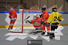 ref. photo 3544884