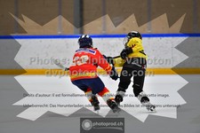 ref. photo 3544885