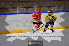ref. photo 3544886