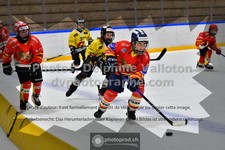 ref. photo 3544889