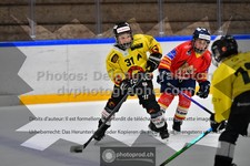 ref. photo 3544891