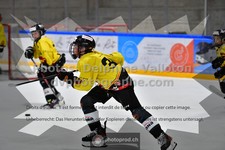 ref. photo 3544895