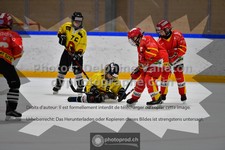 ref. photo 3544904