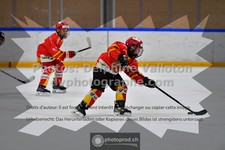 ref. photo 3544909