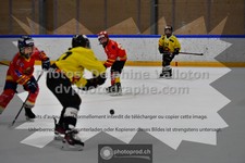 ref. photo 3544911