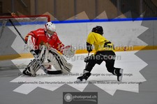 ref. photo 3544917