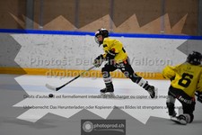 ref. photo 3544920
