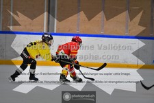 ref. photo 3544922