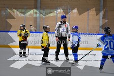 ref. photo 3544926
