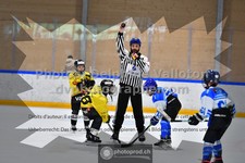 ref. photo 3544927