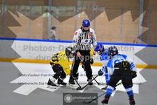 ref. photo 3544928