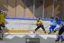 ref. photo 3544932