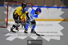 ref. photo 3544936