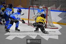 ref. photo 3544941
