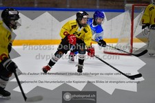 ref. photo 3544944