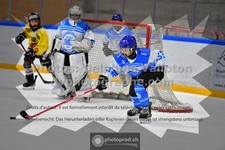 ref. photo 3544948