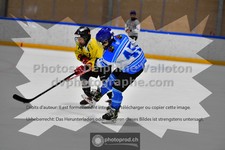 ref. photo 3544949