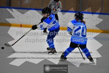 ref. photo 3544955
