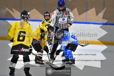 ref. photo 3544958