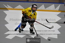 ref. photo 3544964