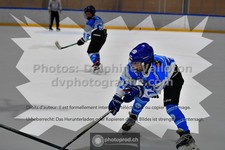 ref. photo 3544965