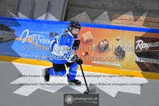 ref. photo 3544981