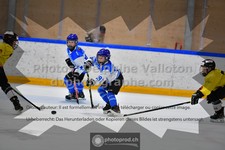 ref. photo 3544993